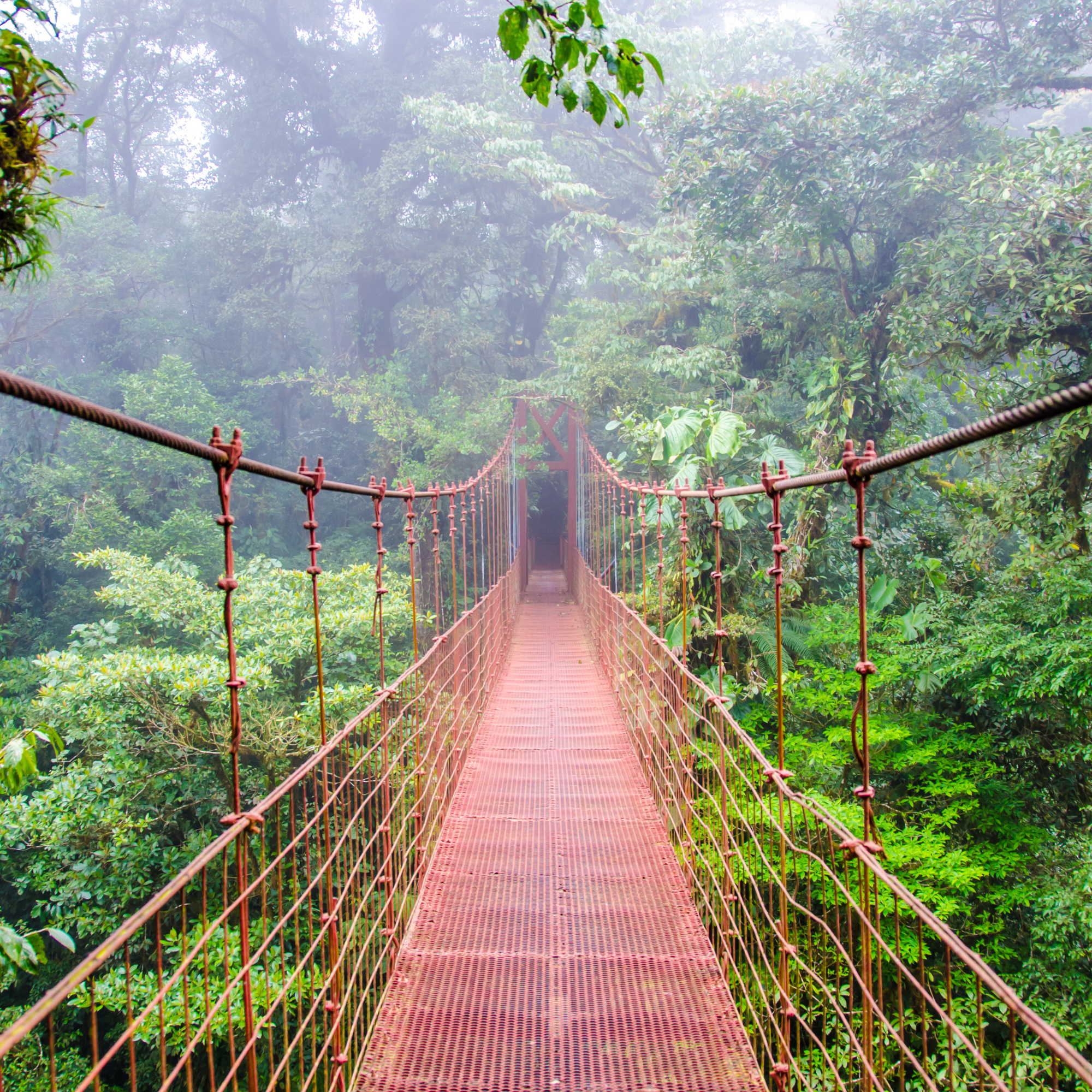 Monteverde